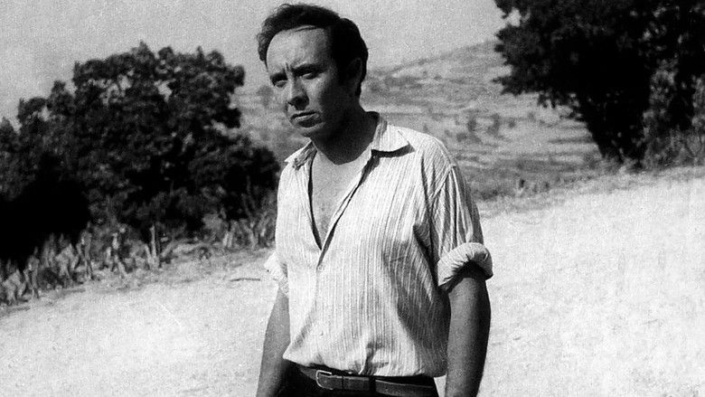 Backdrop image for movie Twenty-Nine Brothers