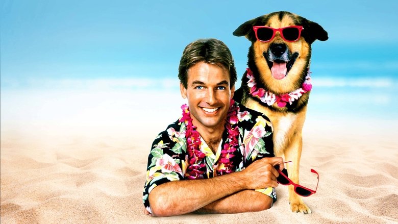 Backdrop image for movie Summer School