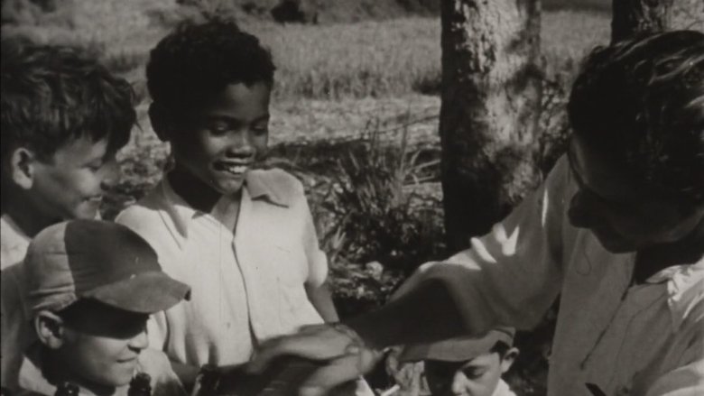 Backdrop image for movie Roots of Happiness