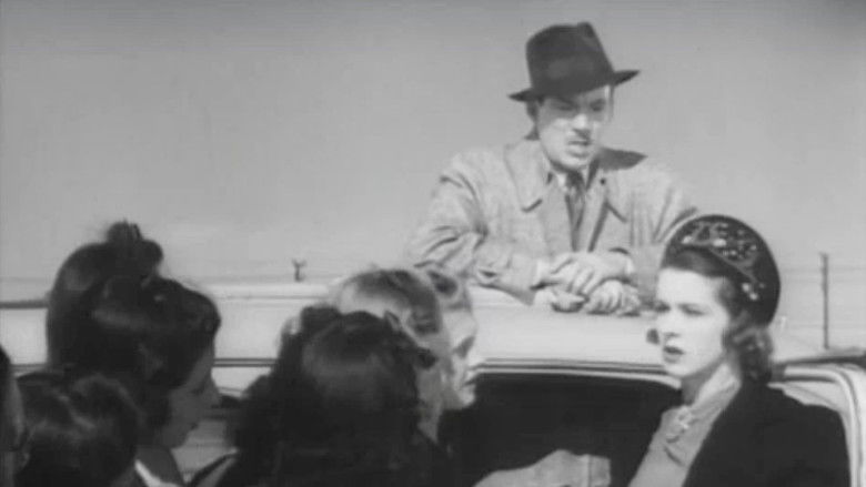 Backdrop image for movie Love on Tap