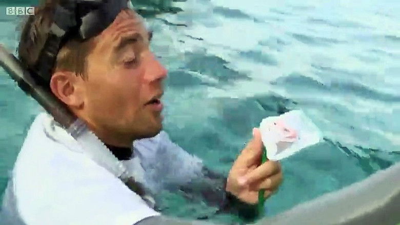 Backdrop image for movie Shark: Beneath the Surface