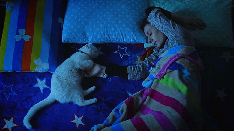 Backdrop image for movie The Cats