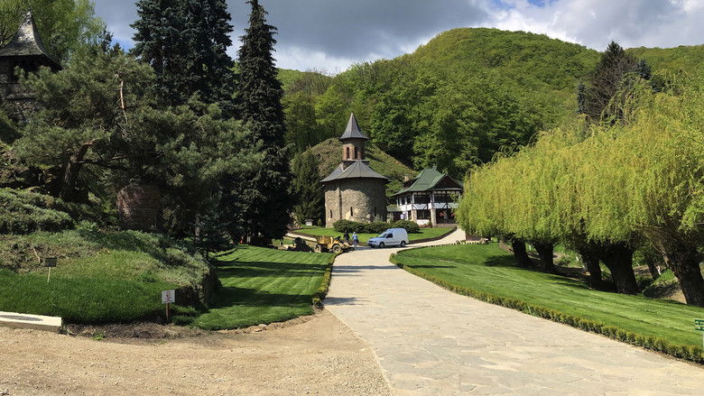 Backdrop image for movie Pure