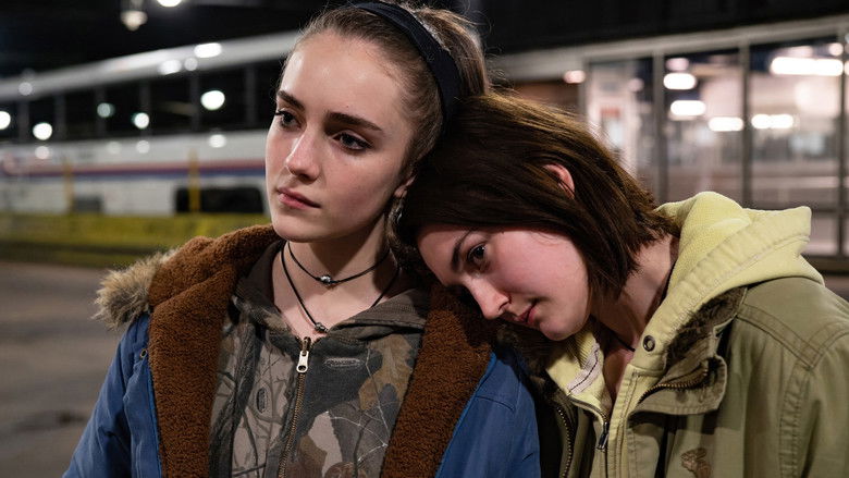 Backdrop image for movie Never Rarely Sometimes Always