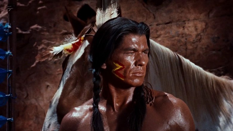 Backdrop image for movie Run of the Arrow