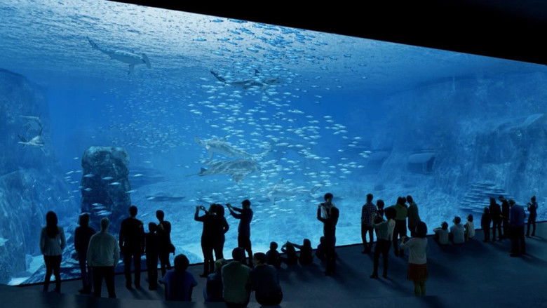 Backdrop image for movie Nausicaa: The Largest Aquarium in Europe