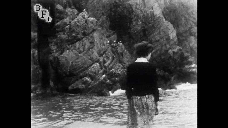Backdrop image for movie The Starfish