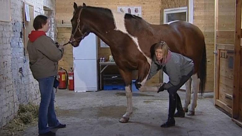 Backdrop image for movie Rörelse utan Gränser