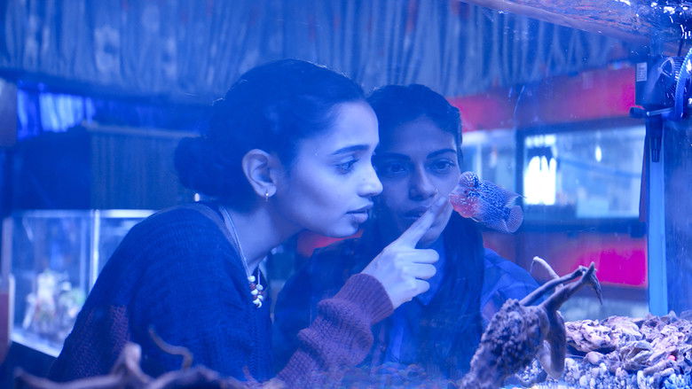 Backdrop image for movie The Shameless