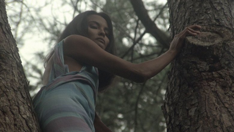 Backdrop image for movie The Alcove