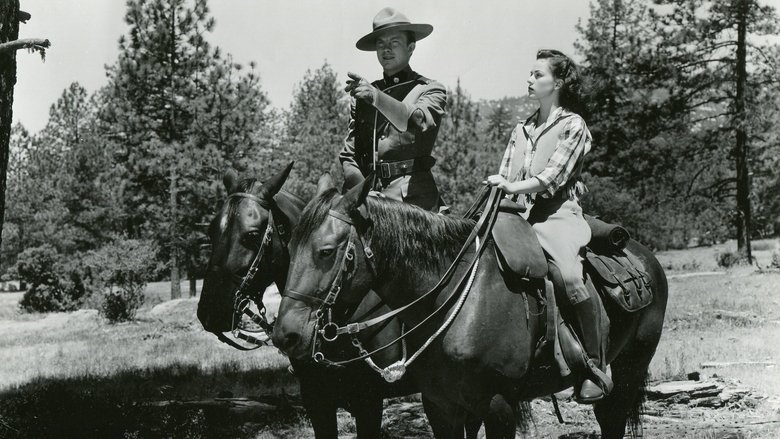 Backdrop image for movie Northwest Rangers