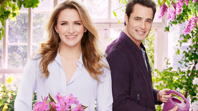 Backdrop image for movie Love Blossoms