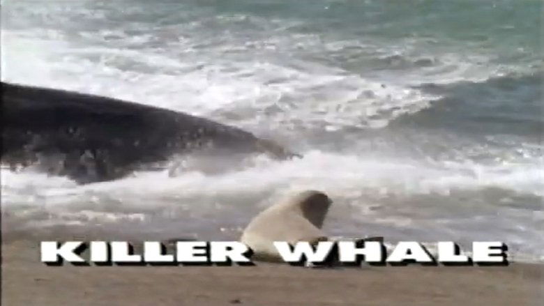 Backdrop image for movie Predators of the Wild: Killer Whale