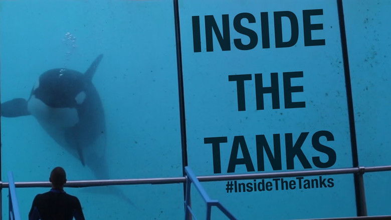 Backdrop image for movie Inside the Tanks