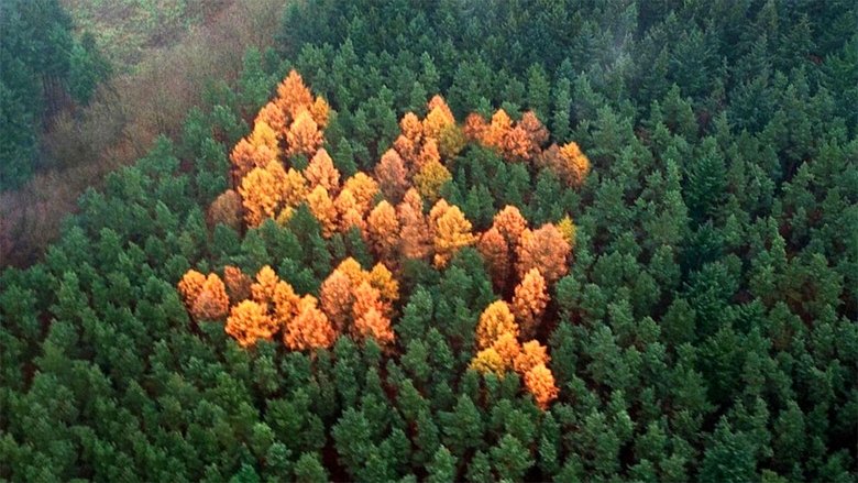 Backdrop image for movie The Story of the Swastika