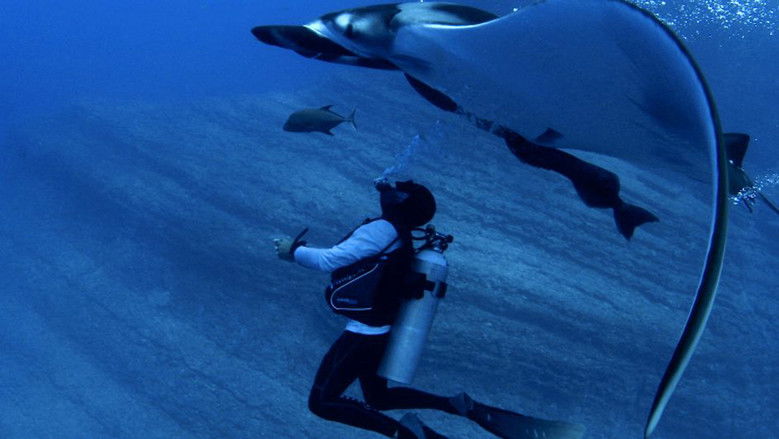 Backdrop image for movie Alien Contact