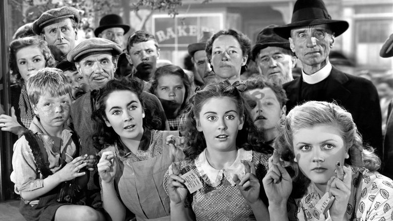 Backdrop image for movie National Velvet