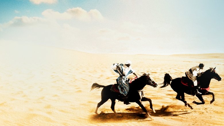 Backdrop image for movie The Black Stallion Returns