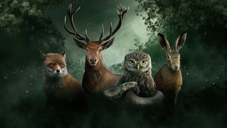 Backdrop image for movie Our Nature, The Movie