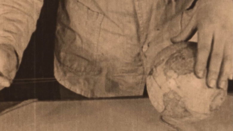 Backdrop image for movie All Aboard for the Moon