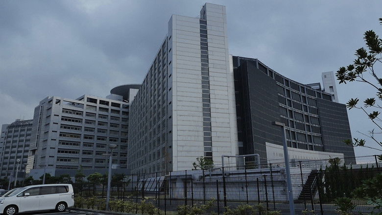 Backdrop image for movie Looking for the Wolf: East Asia Anti-Japan Armed Front