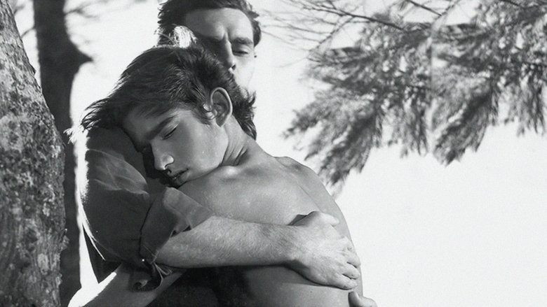 Backdrop image for movie The Boy and the Wind