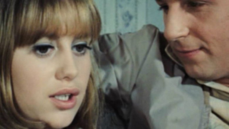 Backdrop image for movie All Neat in Black Stockings