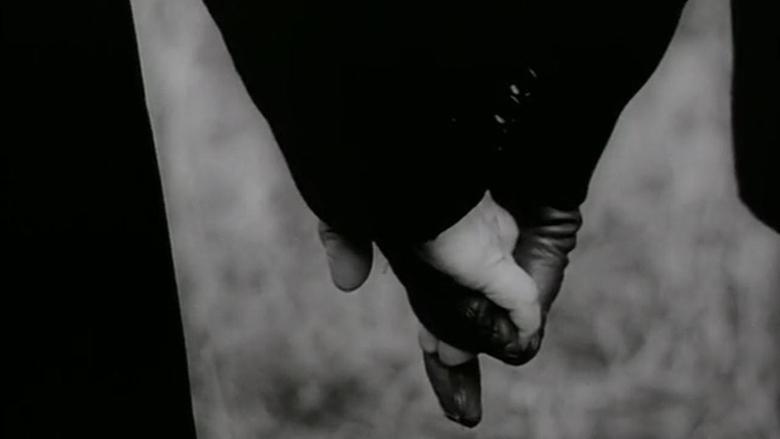Backdrop image for movie The Garden