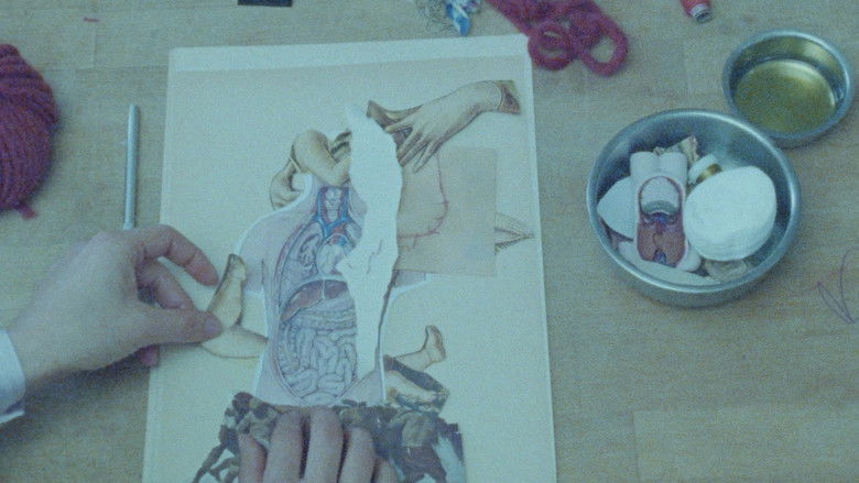 Backdrop image for movie Al largo