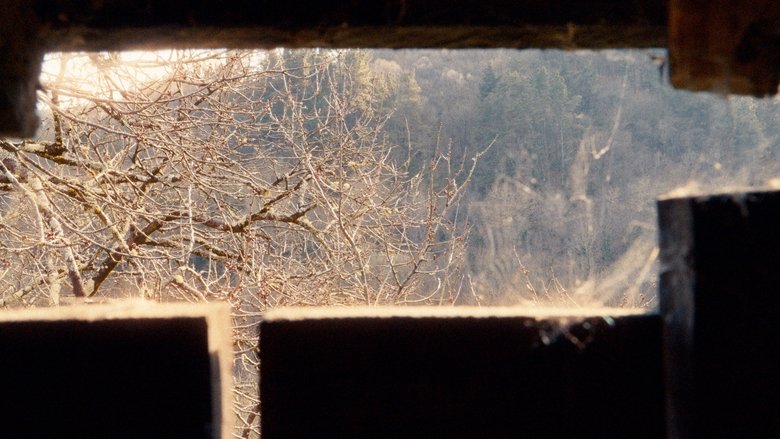 Backdrop image for movie O Baleiro