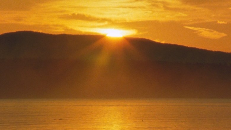 Backdrop image for movie Two Trees
