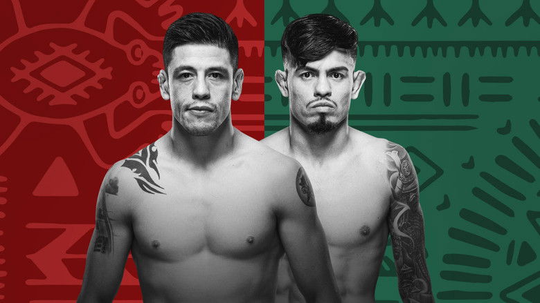 Backdrop image for movie UFC Fight Night 237: Moreno vs. Royval 2