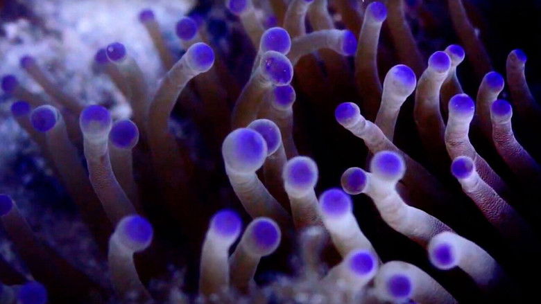 Backdrop image for movie Pueblos de Arrecife