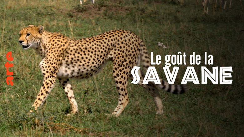 Backdrop image for movie Le Goût de la savane : Herbivores et carnivores, festins croisés