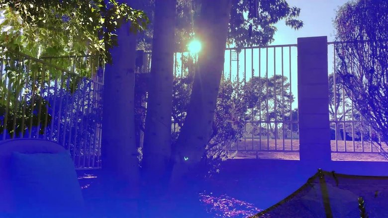 Backdrop image for movie Ruminative Meditations