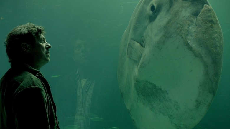 Backdrop image for movie The Sunfish