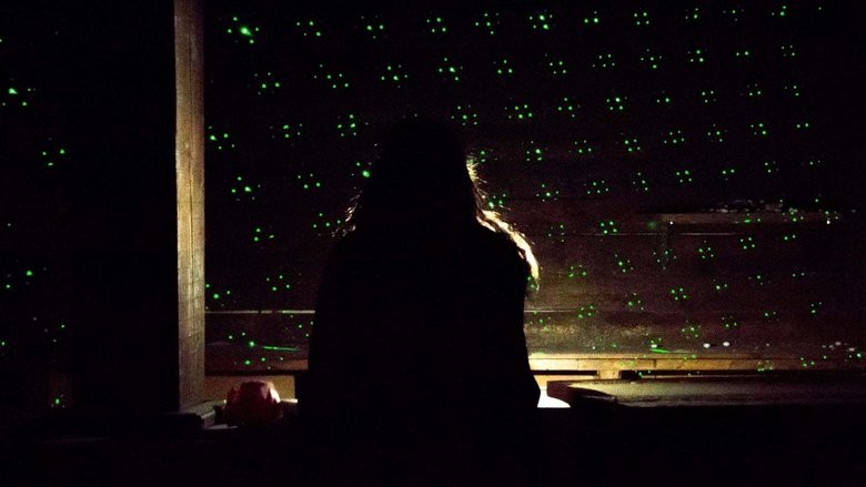 Backdrop image for movie The Disco Shines