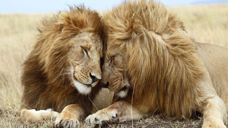 Backdrop image for movie Second Nature: Gender and Sexuality in the Animal World