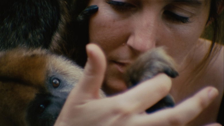 Backdrop image for movie Collective Monologue