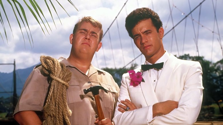 Backdrop image for movie Volunteers