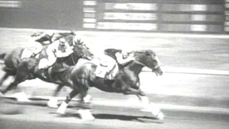 Backdrop image for movie Hollywood Handicap