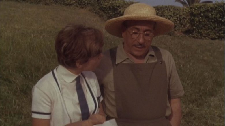 Backdrop image for movie Rita the Mosquito