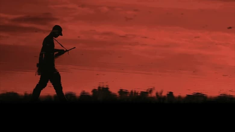 Backdrop image for movie Colombia in My Arms