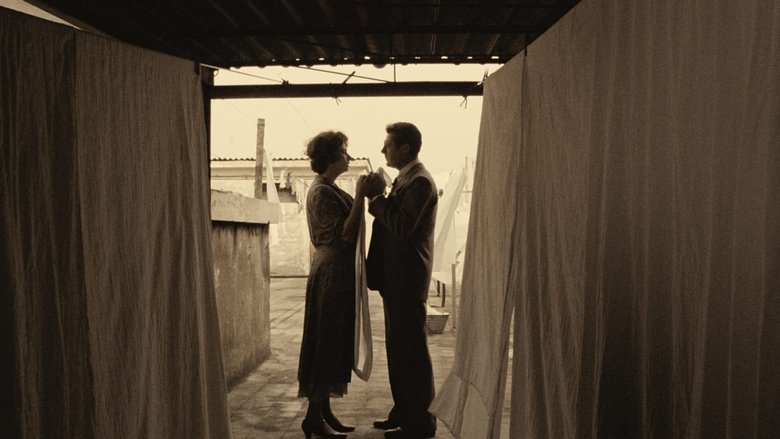 Backdrop image for movie A Special Day