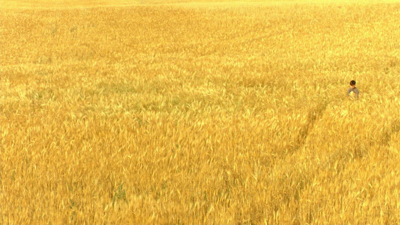 Backdrop image for movie The Reflecting Skin