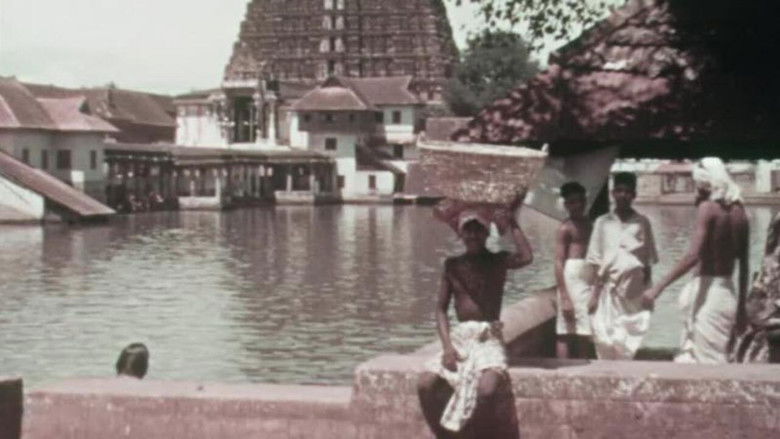 Backdrop image for movie Street Scenes in India