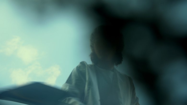 Backdrop image for movie Nous sommes tombés bien bas