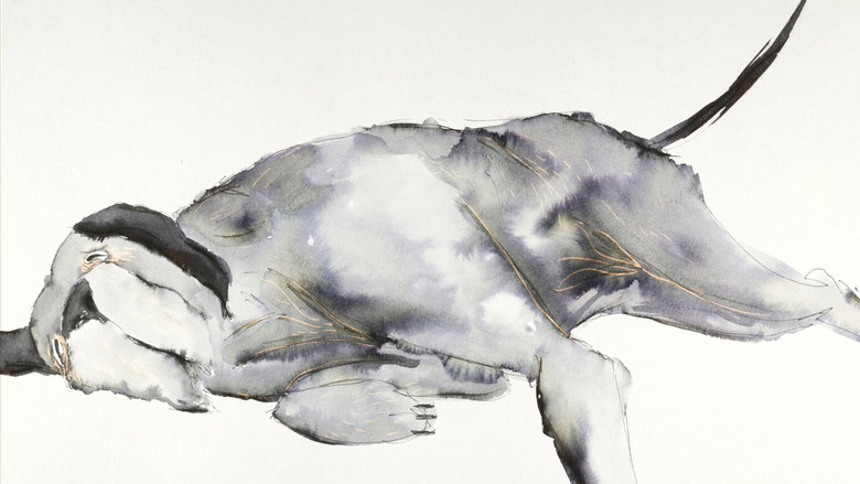 Backdrop image for movie La Perra