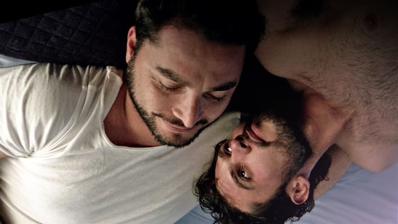 Backdrop image for movie The Latin Boys: Volume 2