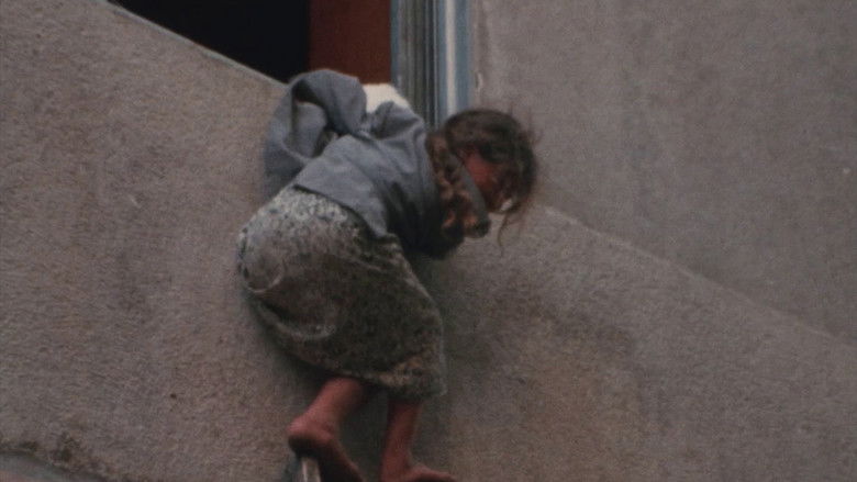 Backdrop image for movie Beirut, Never Again